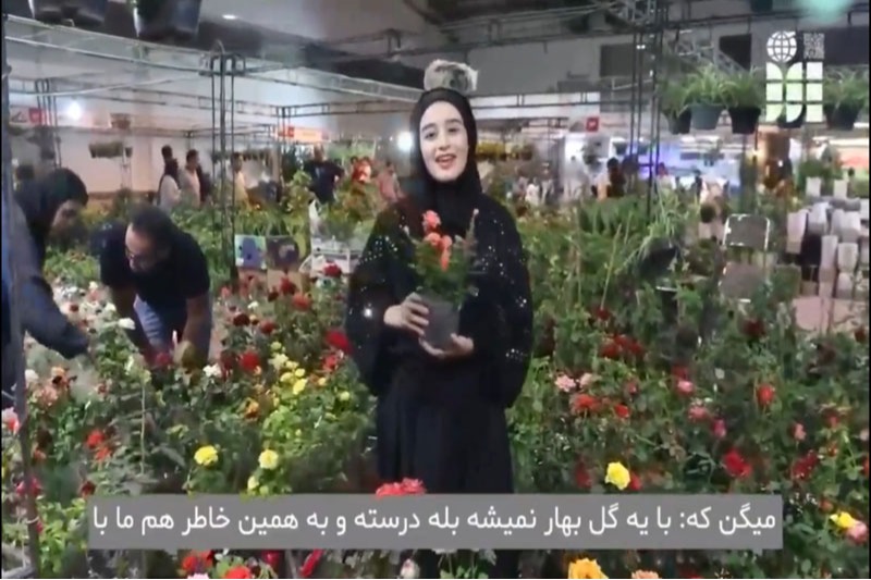 Latin report of flower and plant exhibition